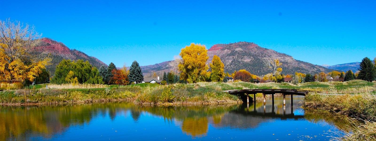 Screen_Shot_2025-03-13_at_4